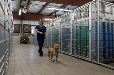 staff member walking a dog down a hallway in the Animal Center